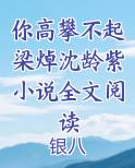 你高攀不起梁焯沈龄紫小说全文阅读