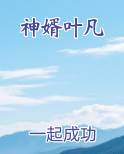 神婿叶凡唐若雪