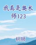 我真是奥术师123推荐小说