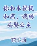你和本侯提和离，我转头娶公主在线阅读无弹窗