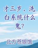 才三岁，洗白系统什么鬼？排行榜