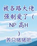 被各路大佬强制爱了（NP 高H）