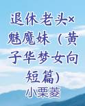 退休老头×魅魔妹（黄子华梦女向短篇）小说全文免费阅读