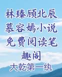 林臻顾北辰慕容嫣小说免费阅读笔趣阁