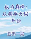 权力巅峰：从领导大秘开始