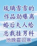 琉璃雪雪的作品劲爆离婚后夫人给总裁挂男科了