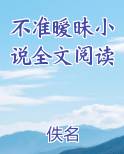 不准暧昧小说全文阅读