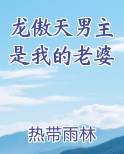 龙傲天男主是我的老婆TXT小说