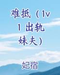 难抵（1v1 出轨 妹夫）推荐小说