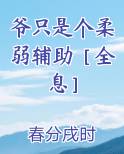 爷只是个柔弱辅助［全息］原著小说
