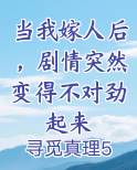当我嫁人后，剧情突然变得不对劲起来