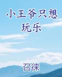 小王爷只想玩乐
